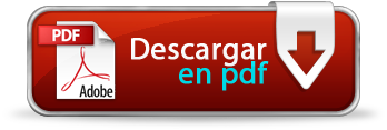 PLANTILLA PDF DECLARACIÓN MERCANCÍAS PELIGROSAS AÉREA - IATA